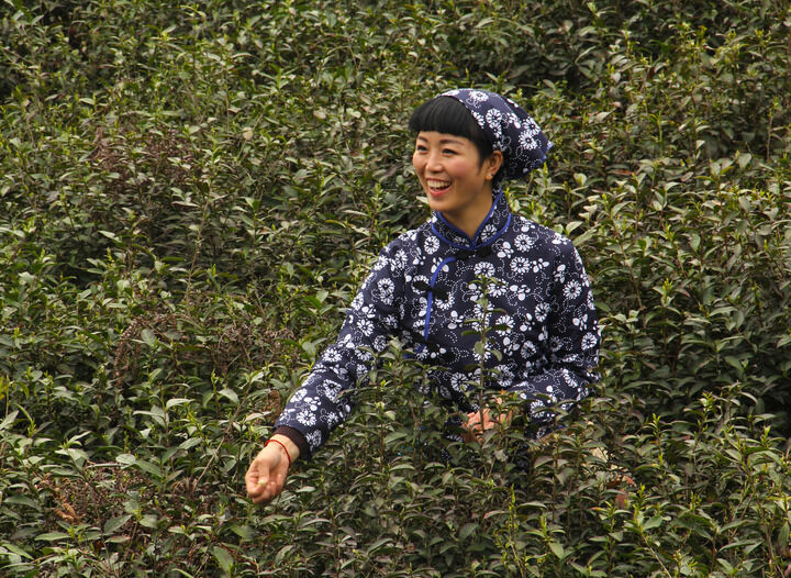 百丽直播5589入口 热门9